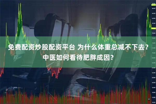 免费配资炒股配资平台 为什么体重总减不下去？中医如何看待肥胖成因？